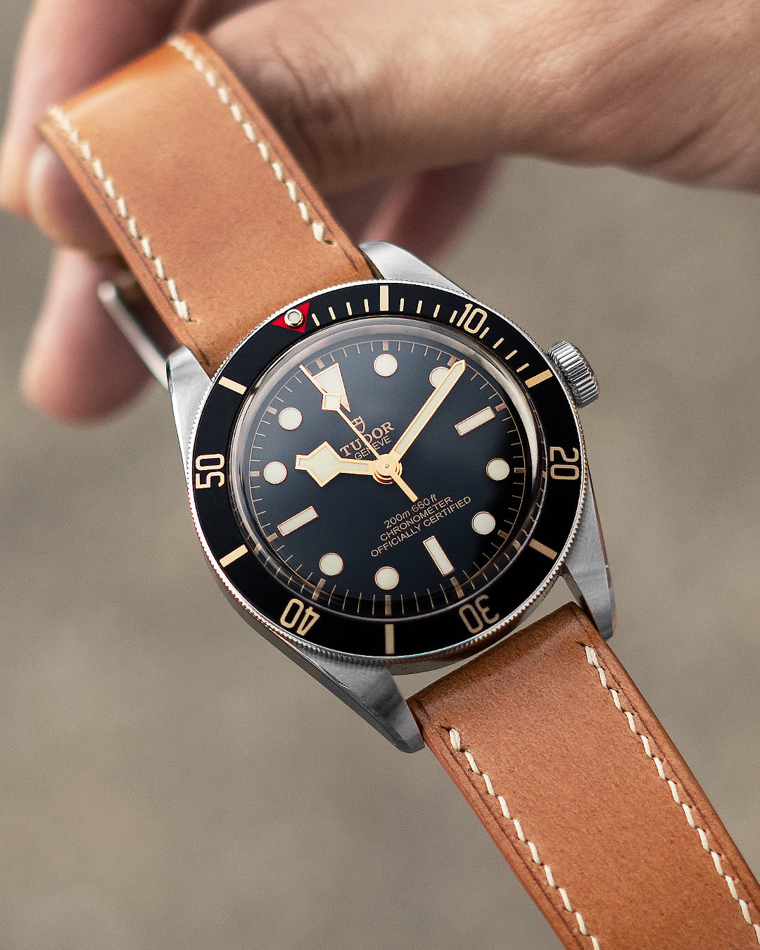 Shell Cordovan Strap (Natural)